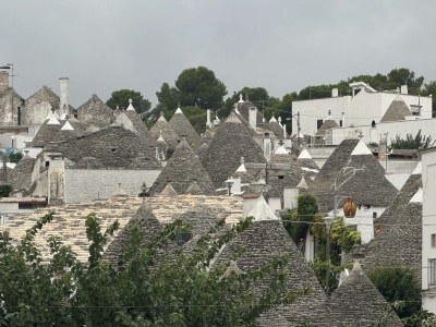 Villa Sestosenso - Environment photo 36