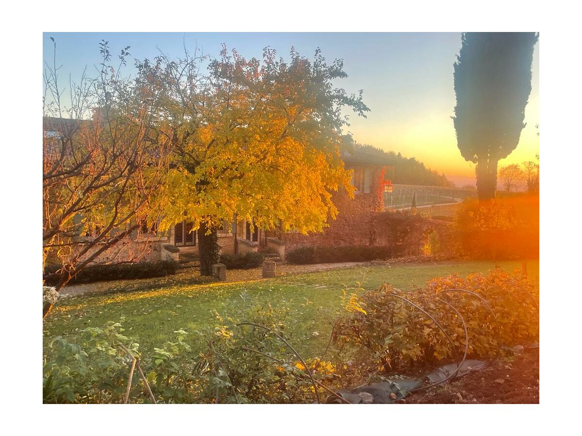 Holiday house Ca' del Buso - Outdoor photo 4