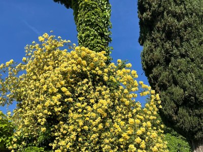 Holiday house Ca' del Buso - Environment photo 39