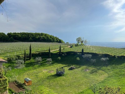 Holiday house Ca' del Buso - Environment photo 40