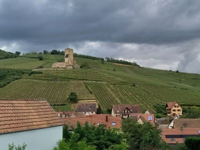 Holiday house La Maison des Amis - Features photo 12