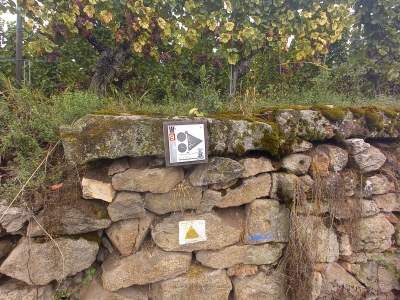 Holiday house La Maison des Amis - Environment photo 14