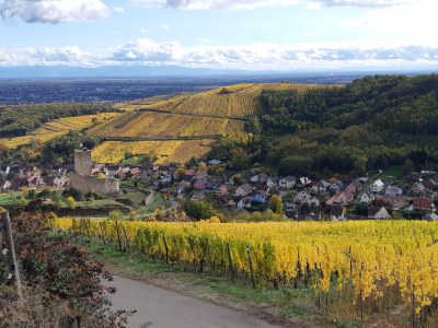 Holiday house La Maison des Amis - Environment photo 15