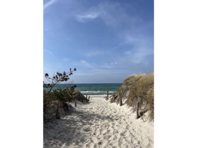 Holiday house Laran - Environment photo 25