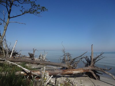 Holiday house Laran - Environment photo 30