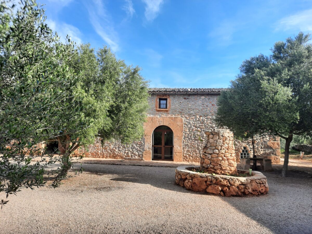 Finca Sa Rota Nova - Outdoor photo 5