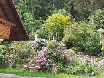 Holiday apartment House Schwarz - Outdoor photo 8