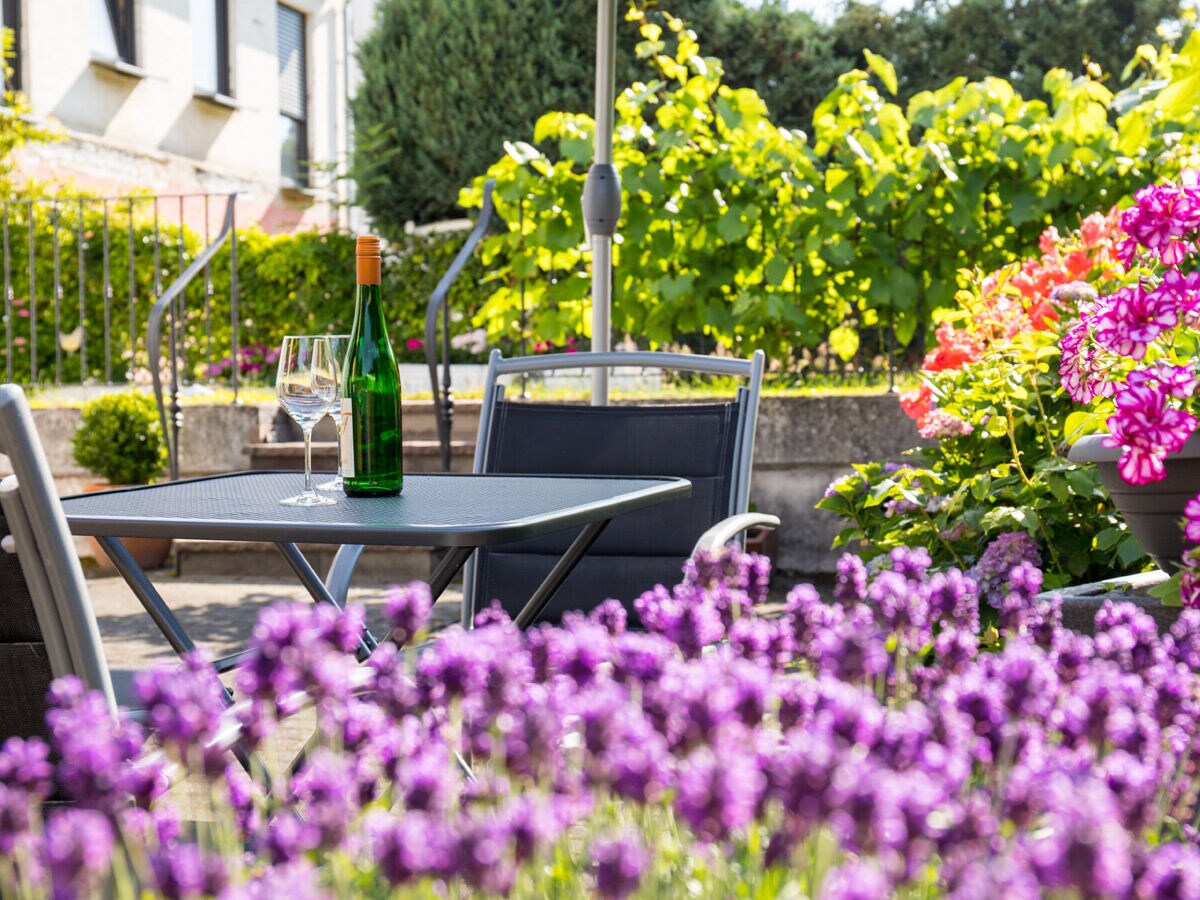 Holiday apartment Frick - Outdoor photo 4