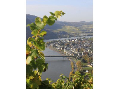 Holiday apartment Frick - Environment photo 27