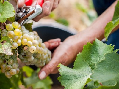 Holiday apartment Frick - Environment photo 28