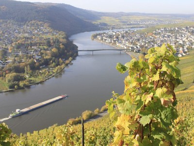 Holiday apartment Frick - Environment photo 29