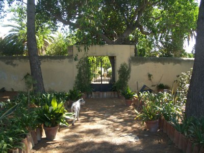 Cottage Les Olives - Outdoor photo 4