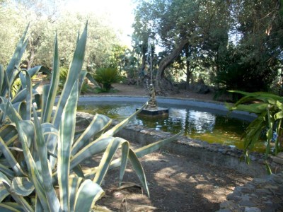 Cottage Les Olives - Environment photo 16