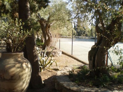 Cottage Les Olives - Environment photo 17