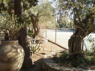 Cottage Les Olives - Environment photo 19