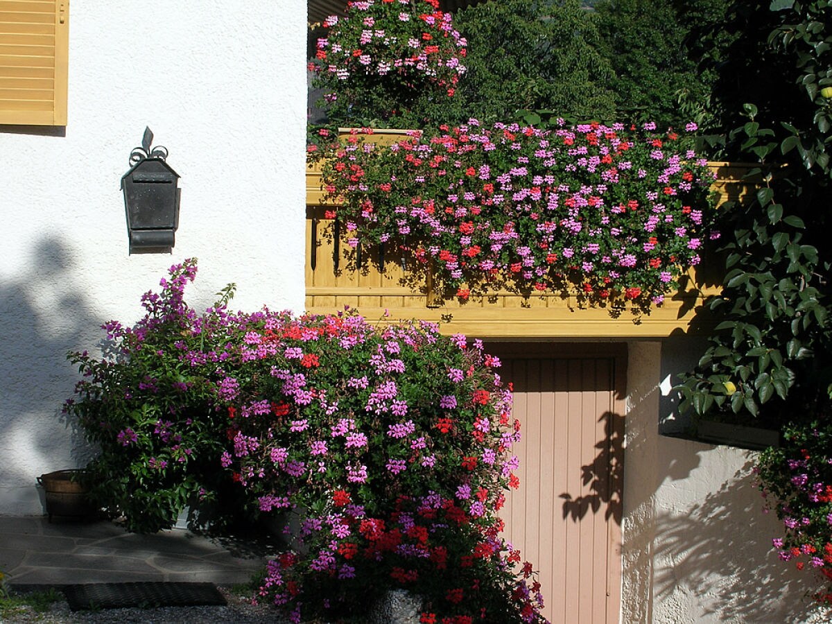 Holiday apartment Marigold - Vacation on the Farm - Outdoor photo 3