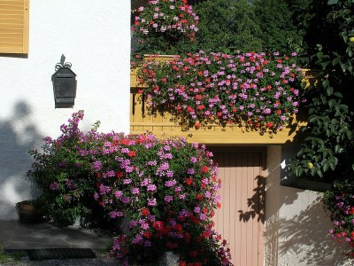 Holiday apartment Marigold - Vacation on the Farm - Outdoor photo 3