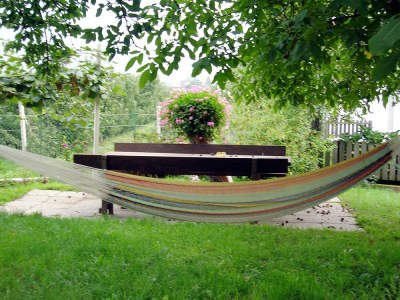 Holiday apartment Marigold - Vacation on the Farm - Environment photo 13