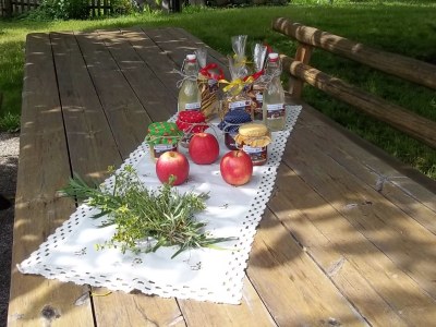 Holiday apartment Lavender - Holiday on the Farm - Outdoor photo 7