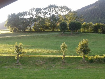 Holiday apartment Abendsonne - Environment photo 22