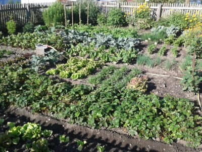 Holiday apartment Abendsonne - Environment photo 24