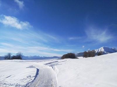 Holiday apartment Abendsonne - Environment photo 29