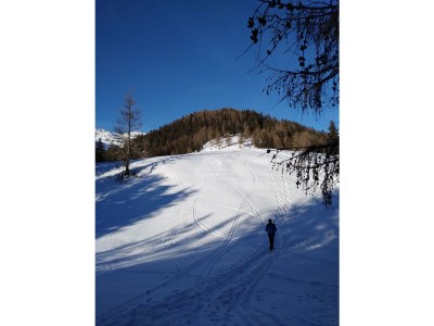 Holiday apartment Abendsonne - Environment photo 30