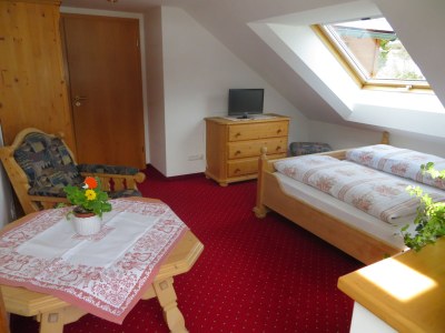 Holiday apartment Panorama in the mountain guesthouse - Features photo 9