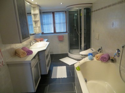 Holiday apartment Panorama in the mountain guesthouse - Features photo 16