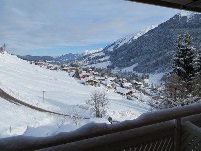 Holiday apartment Panorama in the mountain guesthouse - Environment photo 20