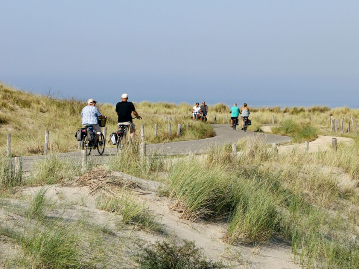 Holiday house Wellness Home by Dutch Coast with Sauna - Outdoor photo 4