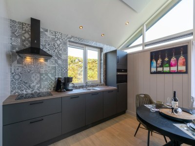 Holiday house Wellness Home by Dutch Coast with Sauna - Outdoor photo 6