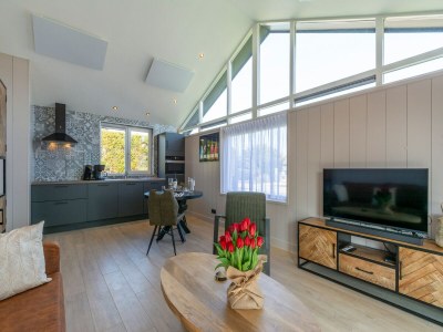 Holiday house Wellness Home by Dutch Coast with Sauna - Outdoor photo 11