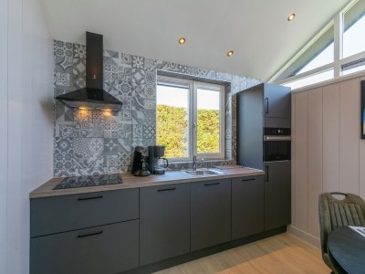 Holiday house Wellness Home by Dutch Coast with Sauna - Outdoor photo 22