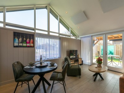 Holiday house Wellness Home by Dutch Coast with Sauna - Outdoor photo 27