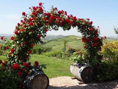 Holiday apartment Casa Irene 2 in Nizza Monferrato - Holiday apartment