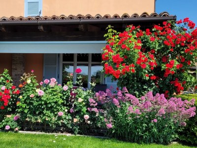 Holiday apartment Casa Irene 2 - Outdoor photo 3