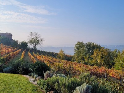 Holiday apartment Casa Irene 2 - Outdoor photo 10