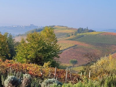 Holiday apartment Casa Irene 2 - Outdoor photo 11