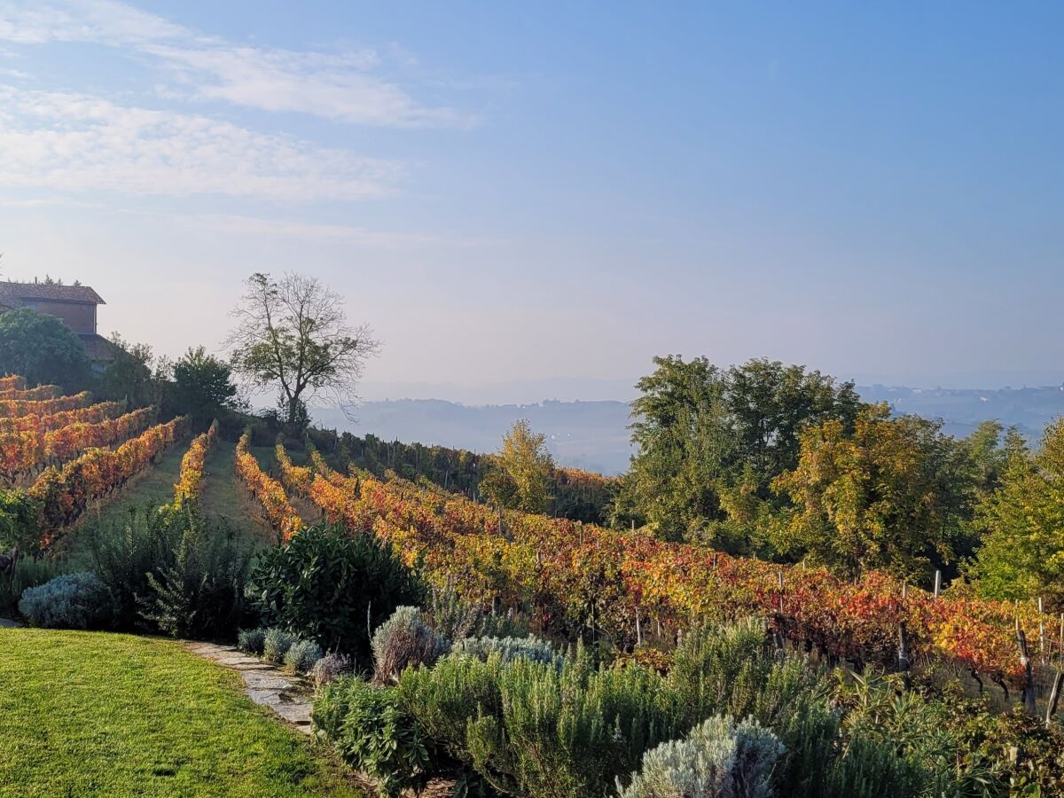 Holiday apartment Casa Irene 3