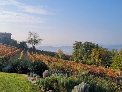 Holiday apartment Casa Irene 3 in Nizza Monferrato - Holiday apartment