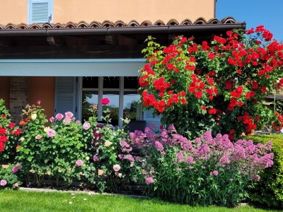 Holiday apartment Casa Irene 3 - Outdoor photo 4