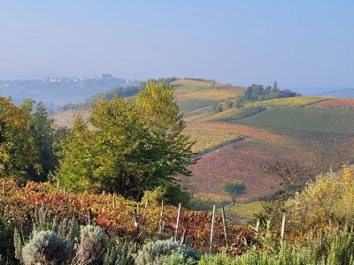 Holiday apartment Casa Irene 3 - Outdoor photo 11