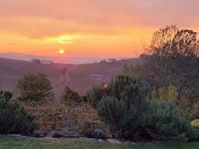 Holiday apartment Casa Irene 3 - Outdoor photo 13