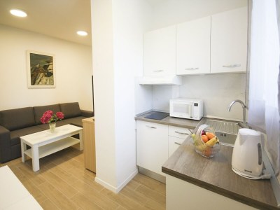 Apartment Apartment Goge - One-Bedroom Apartment with Balcony - Features photo 12