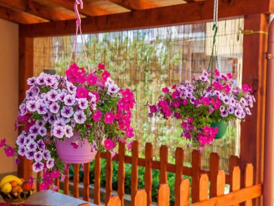 Apartment Apartments Anita-Triple room with terrace - Outdoor photo 14