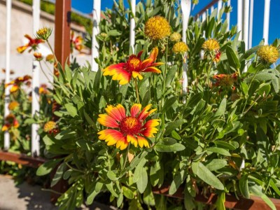 Apartment Charming studio apartment in Bilice - Outdoor photo 2