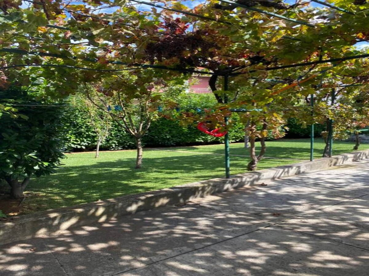 Apartment Spacious apartment in Brodarica with garden - Outdoor photo 2