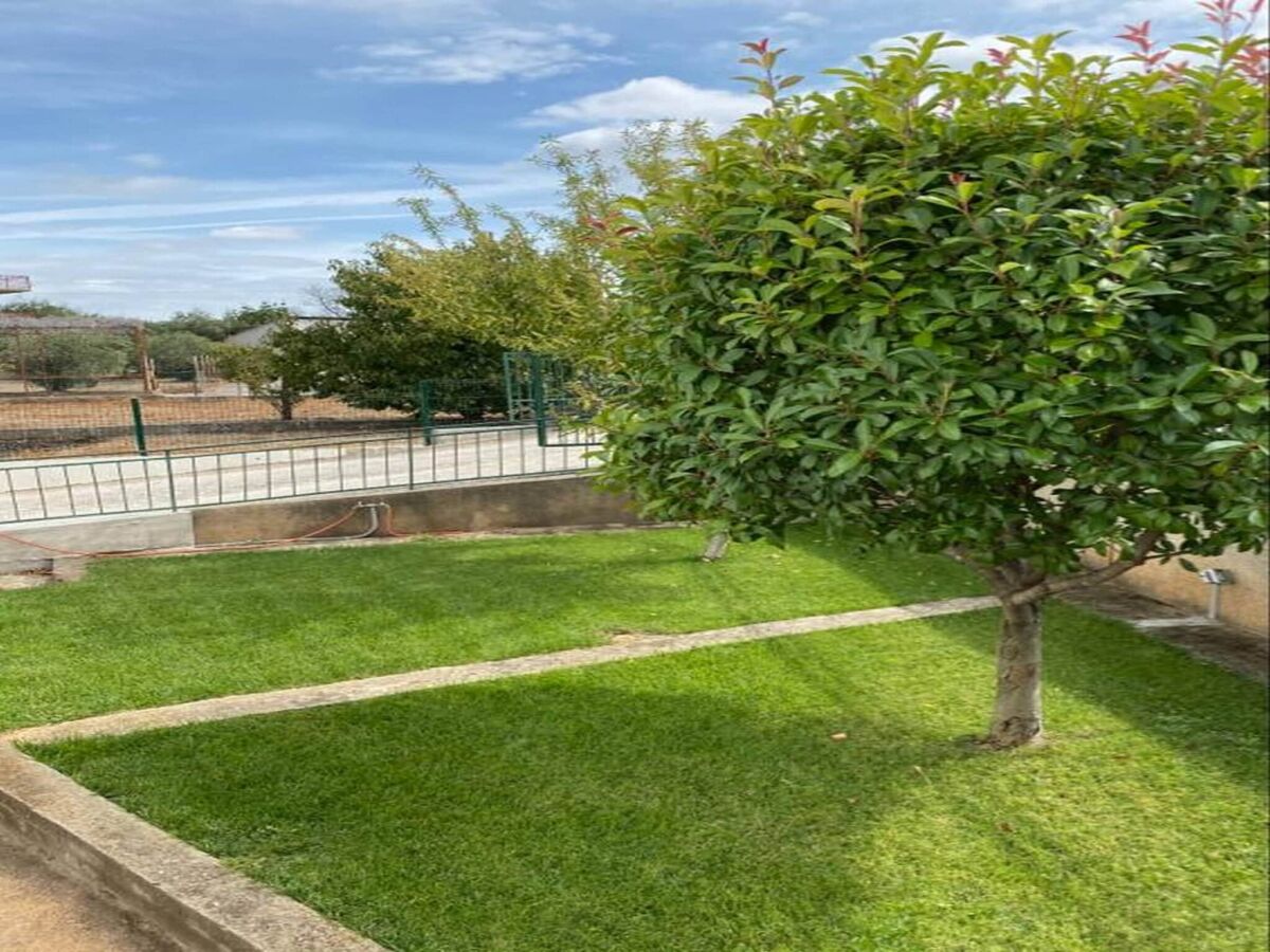 Apartment Spacious apartment in Brodarica with garden - Outdoor photo 5