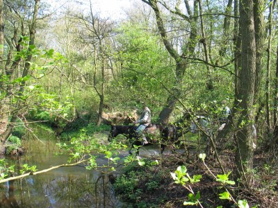 Holiday house Christoffellaan 30 - Environment photo 15